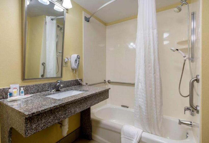 스탠다드 룸 킹사이즈 침대, Comfort Inn & Suites Hillsville I77