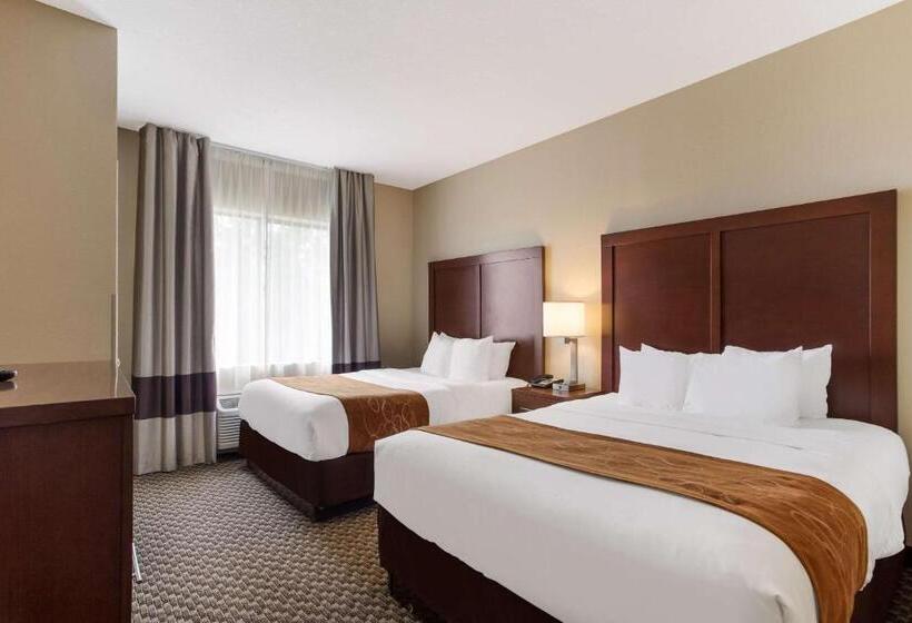 Номер Стандарт, Comfort Suites North Mobile