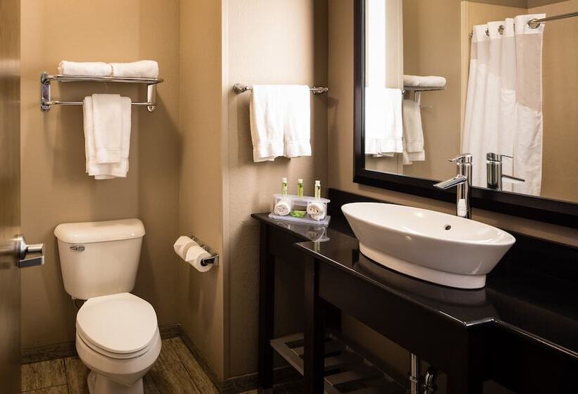 Номер Стандарт, Holiday Inn Express Hotel & Suites El Reno By Ihg