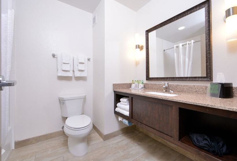جناح لذوى الاحتياجات الخاصة, Holiday Inn Express & Suites Page   Lake Powell Area, An Ihg