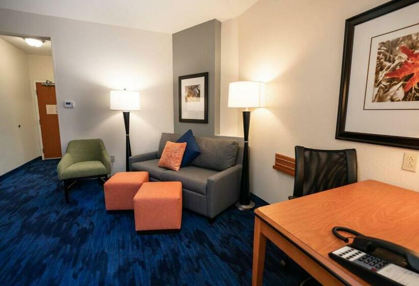 Студио Стандарт Кровать Кинг, Fairfield Inn & Suites By Marriott Kearney
