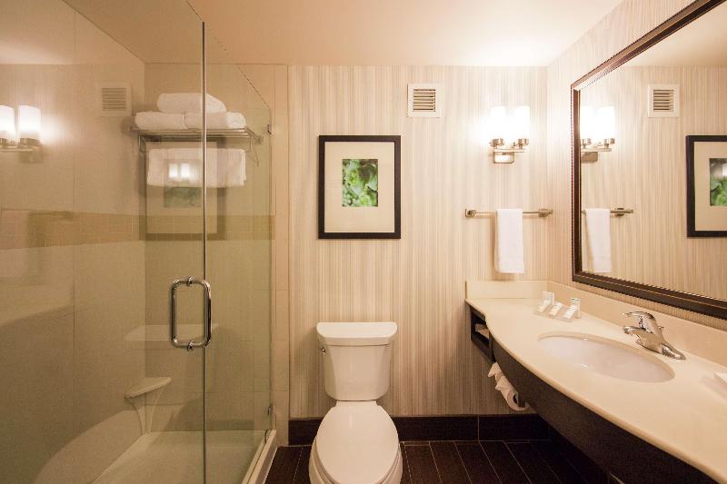 Стандартный Номер Кровать Кинг, Hilton Garden Inn Valley Forge/oaks