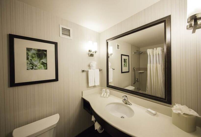 Полулюкс, Hilton Garden Inn Valley Forge/oaks