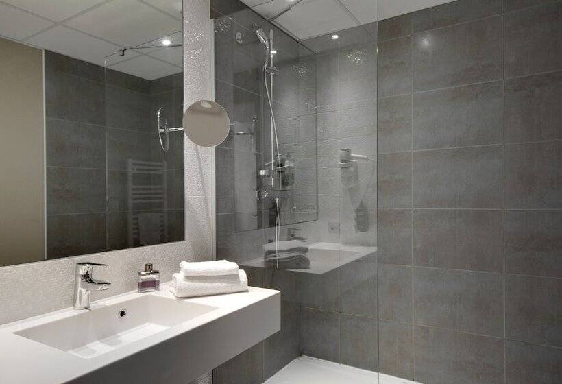 Номер Стандарт, Ibis Styles Montargis Arboria
