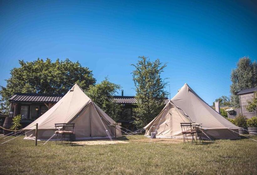 Standard Tent, Boris & Barney