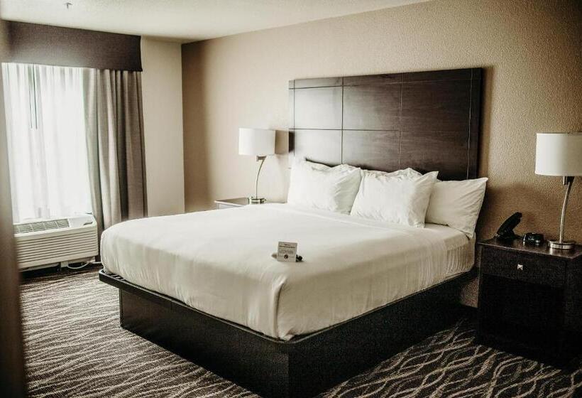 Студия Стандарт, Cobblestone Hotel & Suites International Falls