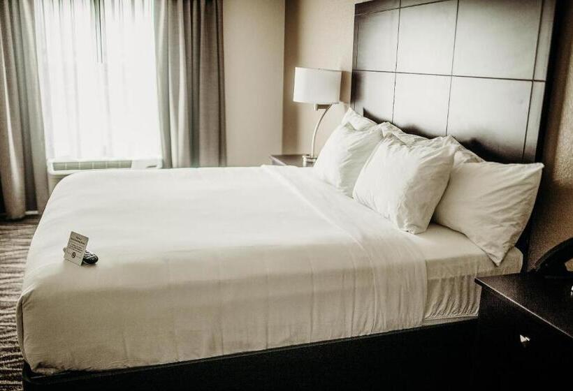 스탠다드 스튜디오 킹침대, Cobblestone Hotel & Suites International Falls