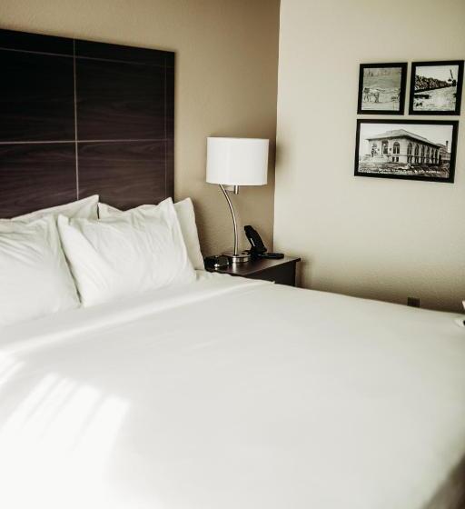 Студио Стандарт Кровать Кинг, Cobblestone Hotel & Suites International Falls