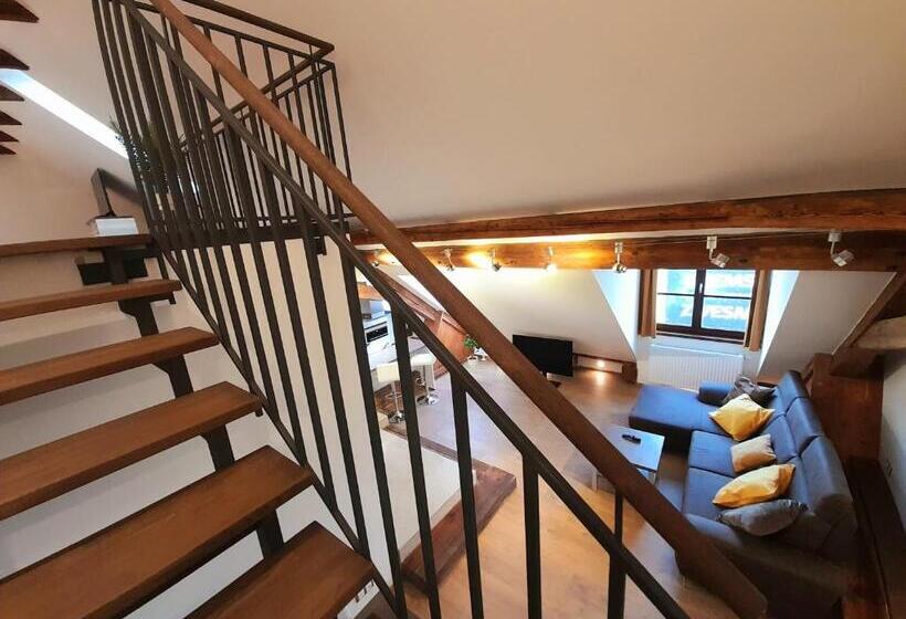 침실 1개 디럭스 아파트, Residence Mariánská