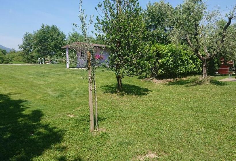 Номер Стандарт, Il Carpino Bianco