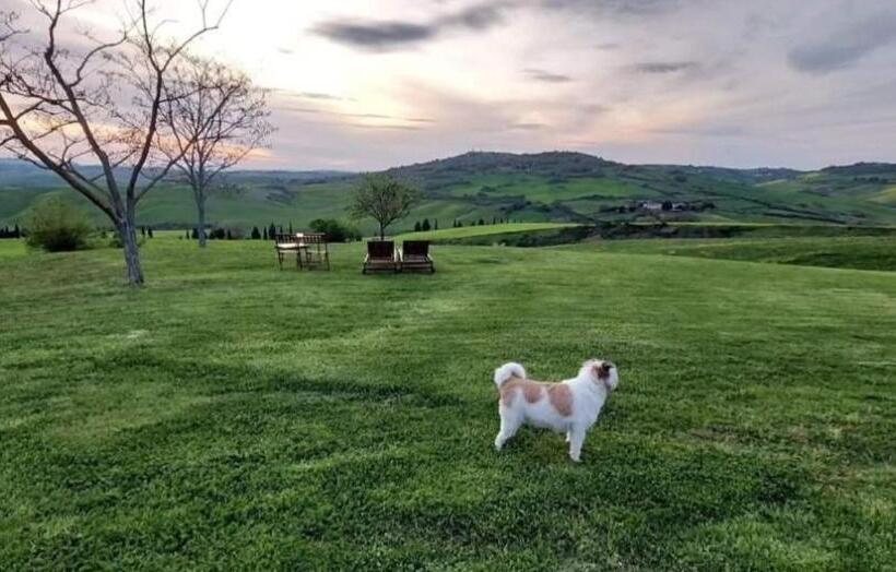 Апартаменты 1 Спальня, Agriturismo Barbi