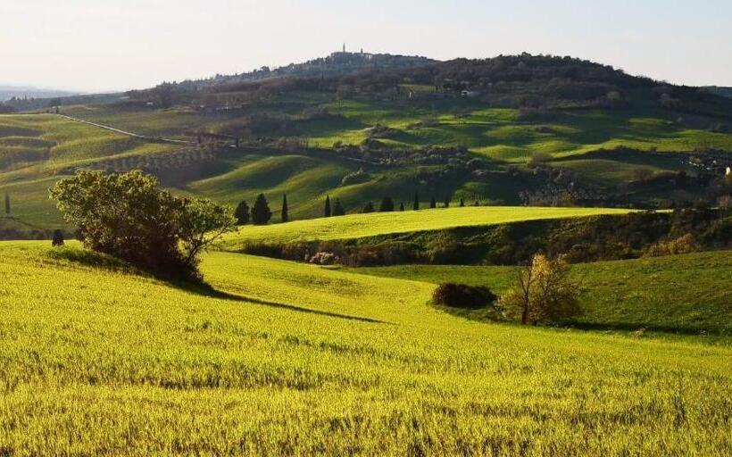 Апартаменты 1 Спальня Вид на Сад, Agriturismo Barbi