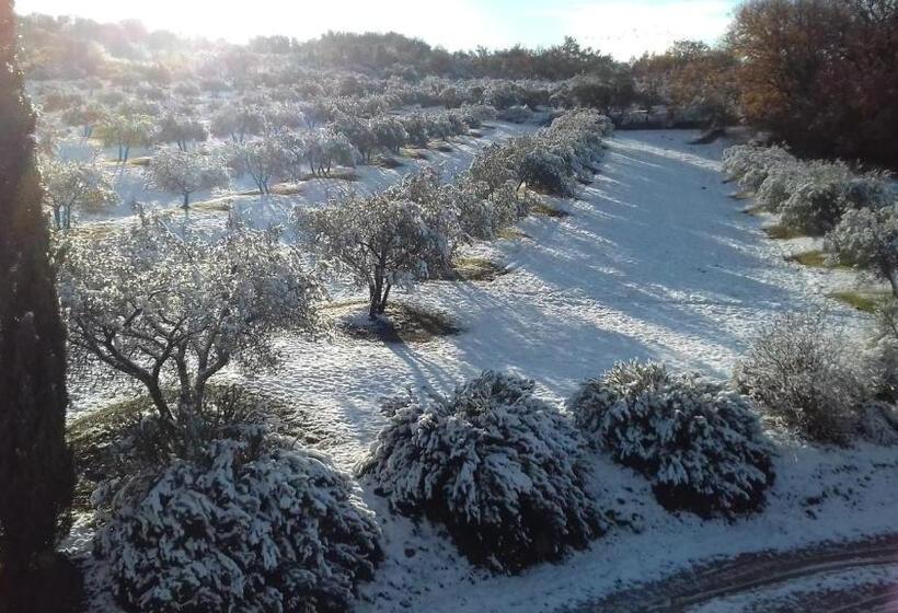 Апартаменты 1 Спальня Вид на Сад, Agriturismo Barbi