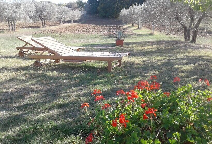 Апартаменты 1 Спальня с Видом, Agriturismo Barbi
