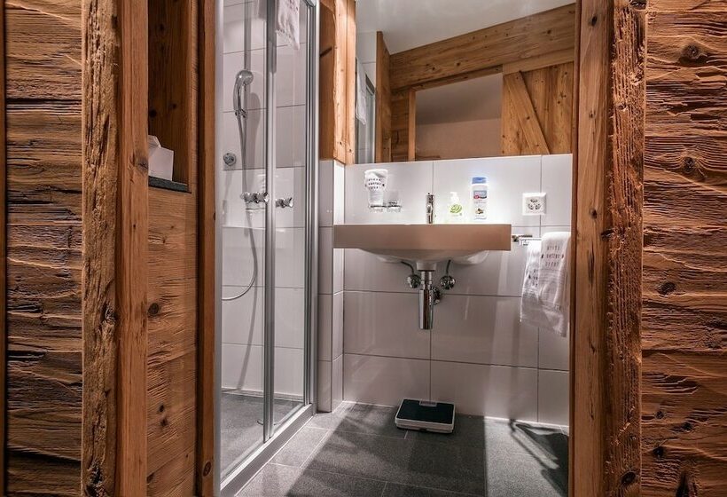 Номер Комфорт Индивидуальный, Arosa Vetter