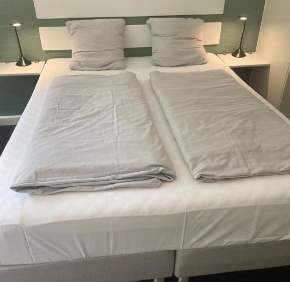 패밀리 주니어 스위트, Motel Rovli