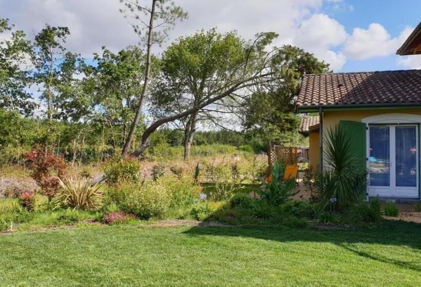 Четырехместный Номер Стандарт, La Villa Estella   Family Suite