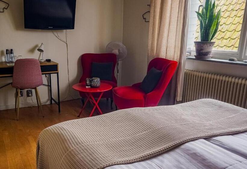اتاق استاندارد با چشم‌انداز شهر, Maritim Hotell & Krog