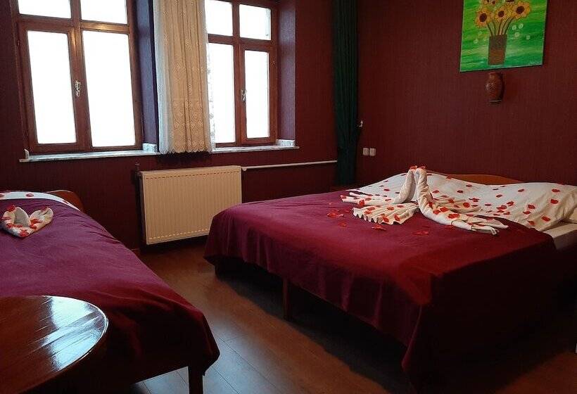 Номер Стандарт, Kapadokya Stonelake Hotel