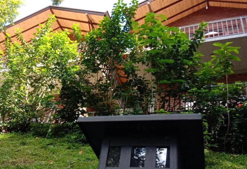 Стандартный Номер Кровать Кинг, 3arch Eco Cottage Ella