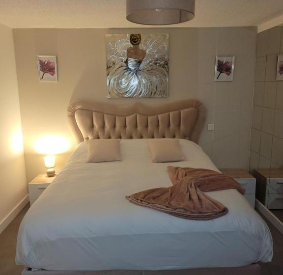Номер Superior, Astrotel Romorantin Lanthenay Soirée étape