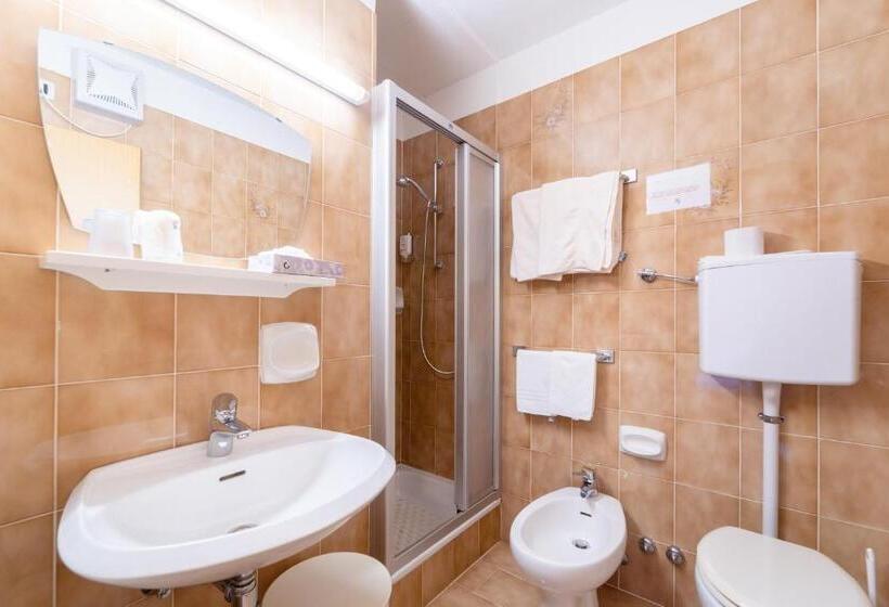 스탠다드 룸, Berg Hotel Latemar Spitze