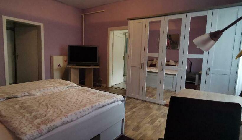 Номер Стандарт, Lindenhof L1
