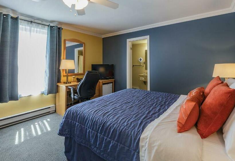 Номер Стандарт, Motel Au Vieux Piloteux