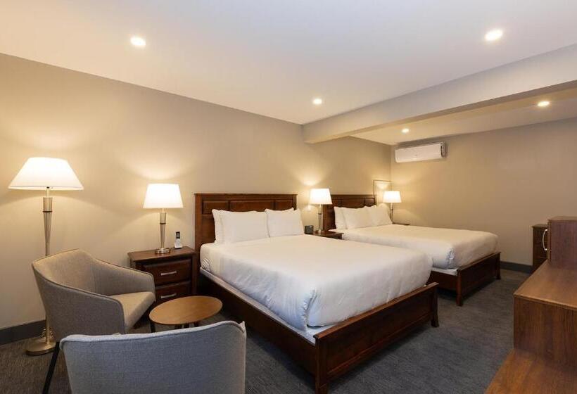 Номер Стандарт 2 Двуспальные Кровати, Motel Au Vieux Piloteux