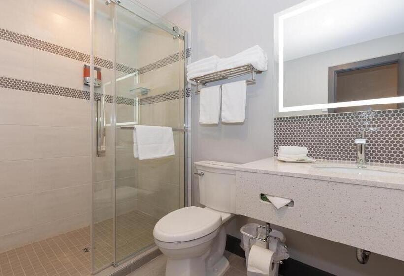 Номер Superior, Motel Au Vieux Piloteux