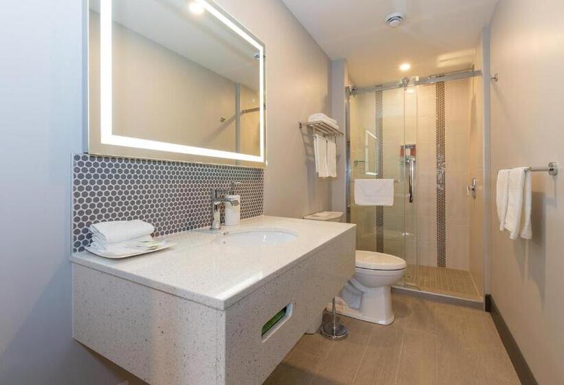 Номер Superior, Motel Au Vieux Piloteux