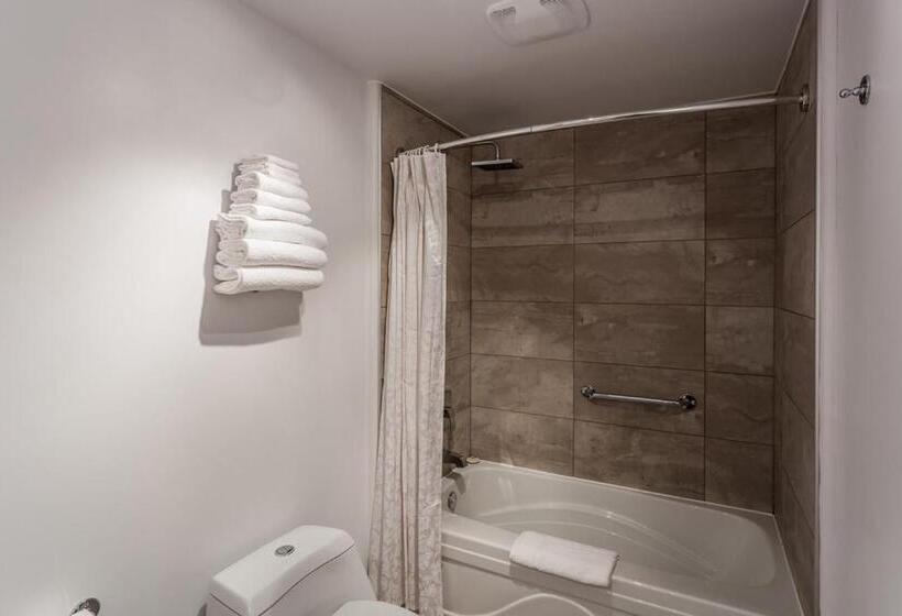 Номер Стандарт 2 Двуспальные Кровати, Motel Au Vieux Piloteux