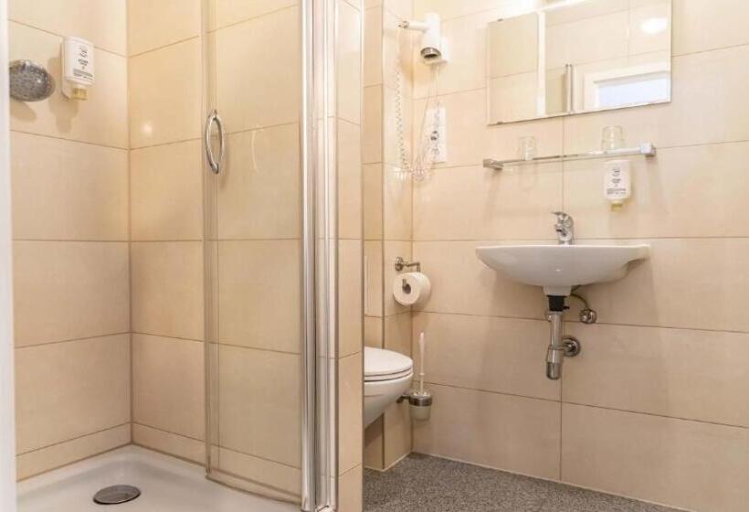 스탠다드 싱글 룸, Parkhotel Friedrichstrasse