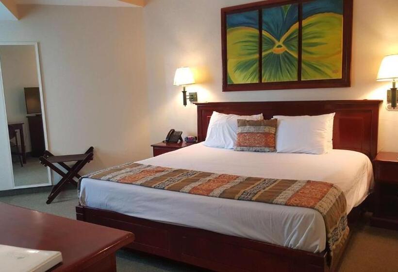带大床的套房, Best Western Bazarell Inn