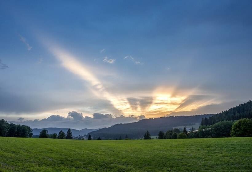 Семейный Номер, Vier Jahreszeiten Am Schluchsee