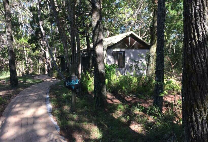 Хижина, Byron Bay Rainforest Resort