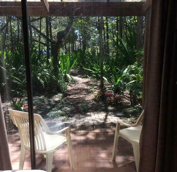 Хижина, Byron Bay Rainforest Resort