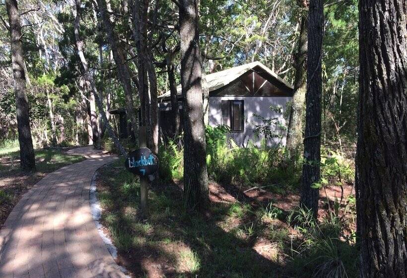 Хижина, Byron Bay Rainforest Resort
