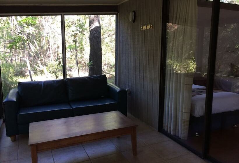 Хижина, Byron Bay Rainforest Resort