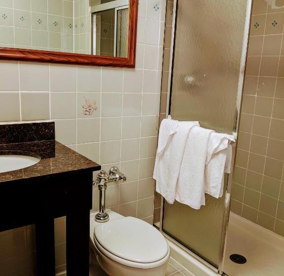 اتاق استاندارد با وان آب گرم, Jets Motor Inn