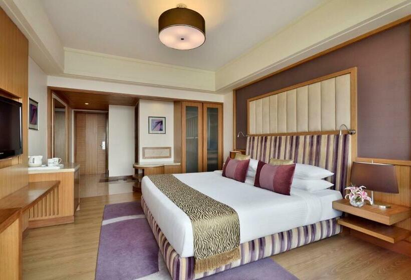 高级大房间, Radisson Blu Hotel, Indore