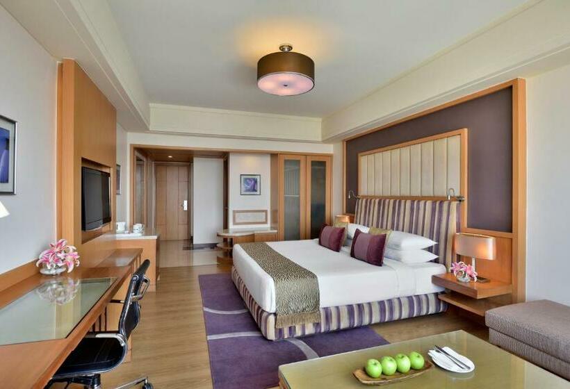 高级大房间, Radisson Blu Hotel, Indore