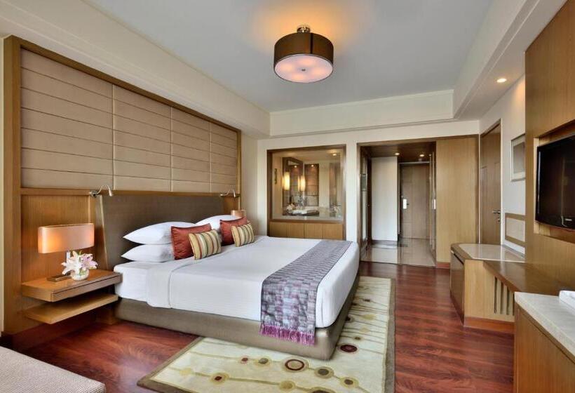 商务房间, Radisson Blu Hotel, Indore