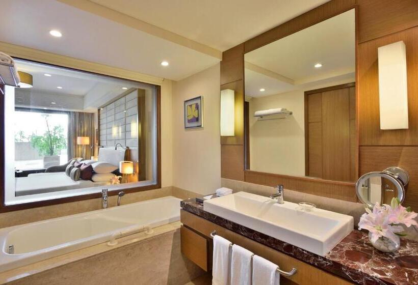 套房, Radisson Blu Hotel, Indore