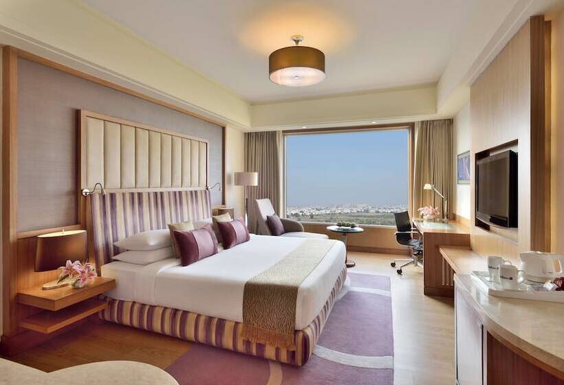 高级大房间, Radisson Blu Hotel, Indore