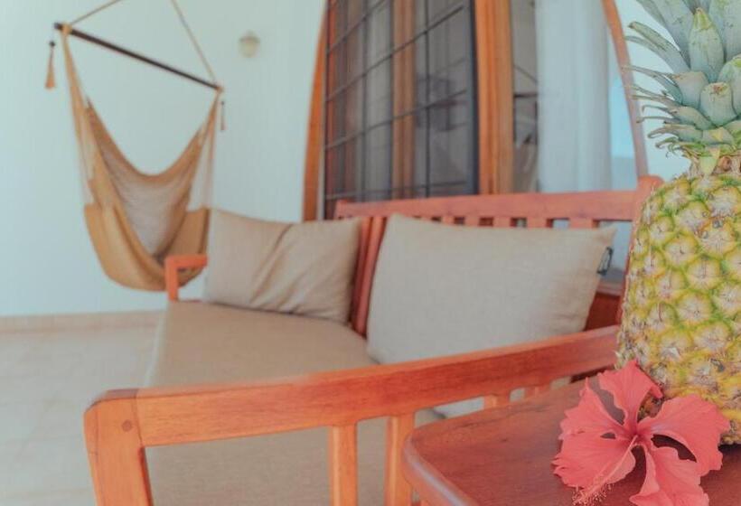 Студия Стандарт Вид на Море, Casas Kismet
