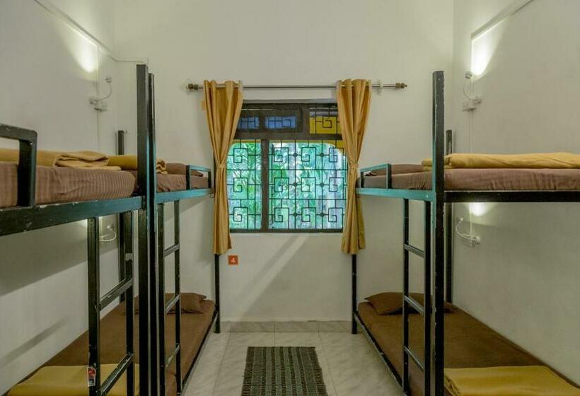 מיטה בחדר משותף, Bunknbrew