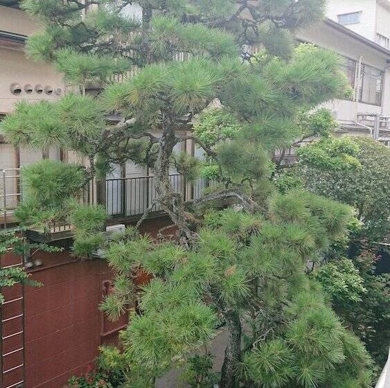 스탠다드 룸, Kinsui Annex