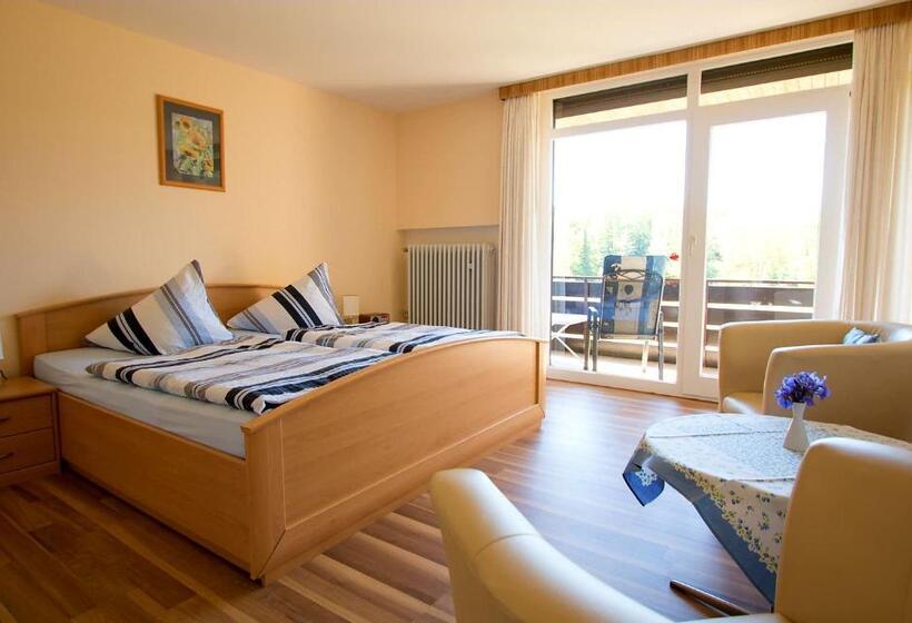 Номер Стандарт с Балконом, Pension Am Hardausee
