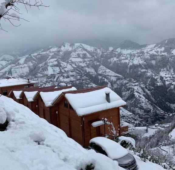 Люкс, Oşvacu Dağ Evleri